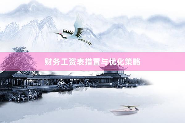 财务工资表措置与优化策略